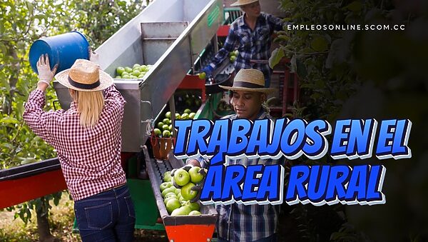 Trabajos en el Área Rural con y sin Experiencia