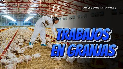 Trabajos en Granjas con y sin Experiencia: Oportunidades y Requisitos