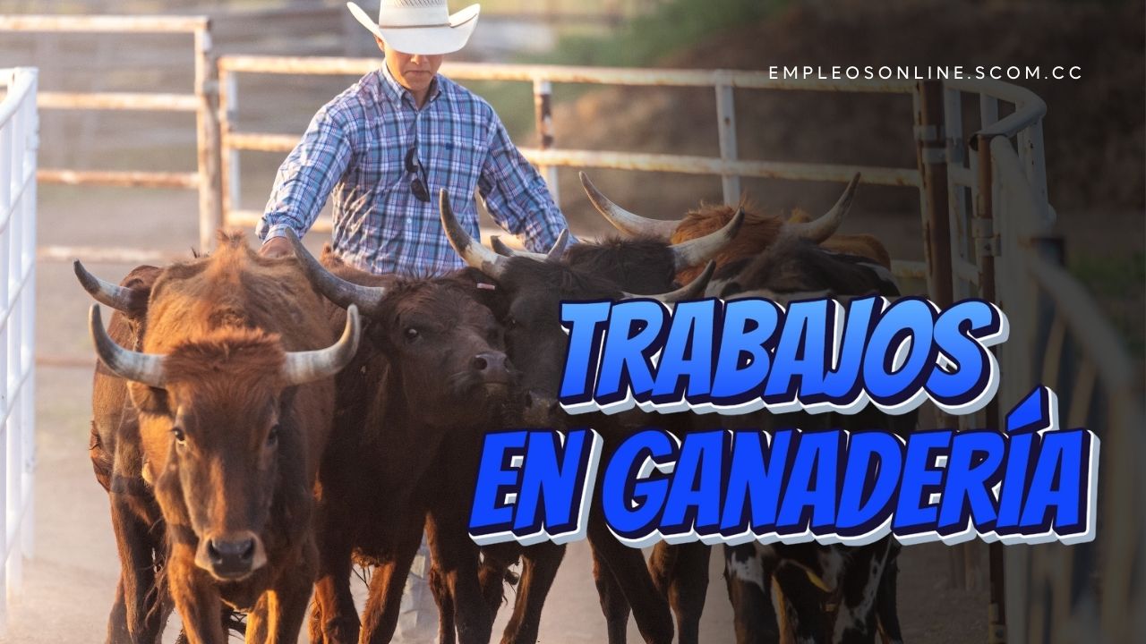 Trabajos en Ganadería con y sin Experiencia: Oportunidades en el Sector Agropecuario