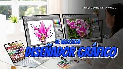 Trabajo de Diseñador Gráfico con y sin Experiencia: Oportunidades y Requisitos
