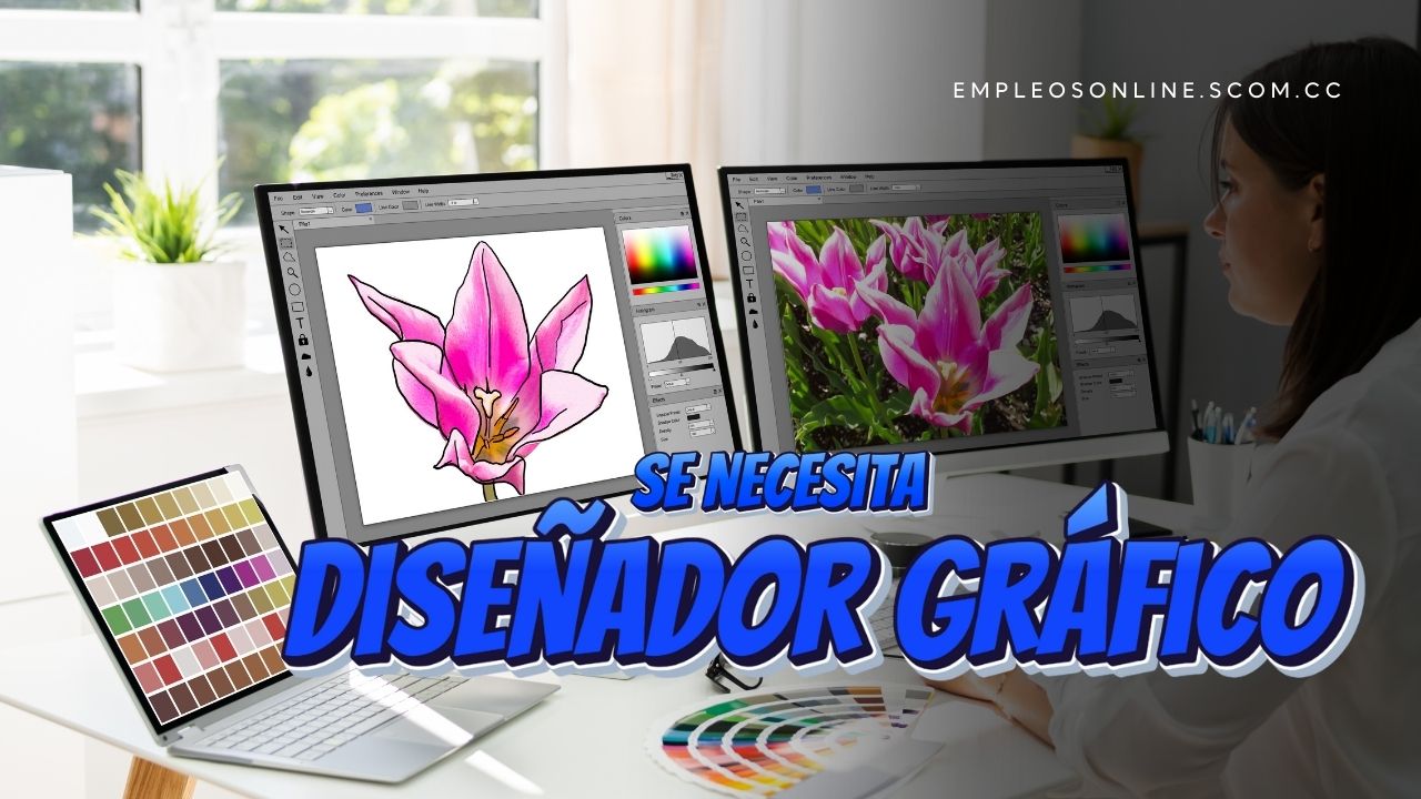 Trabajo de Diseñador Gráfico con y sin Experiencia: Oportunidades y Requisitos